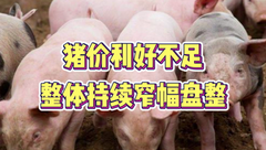 6月11日生猪价格：猪价涨跌并存，持续窄幅调整，何时“破局”？