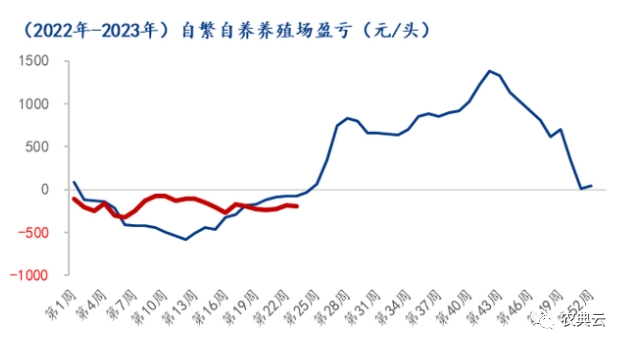 仔猪价格快速下滑，种猪盈利大幅缩水！能繁母猪去化速度能否加快？