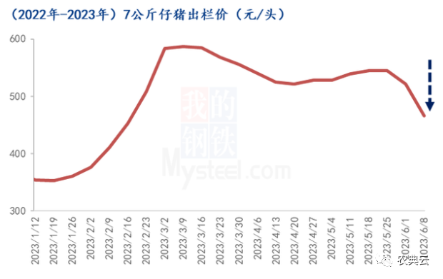 仔猪价格快速下滑，种猪盈利大幅缩水！能繁母猪去化速度能否加快？