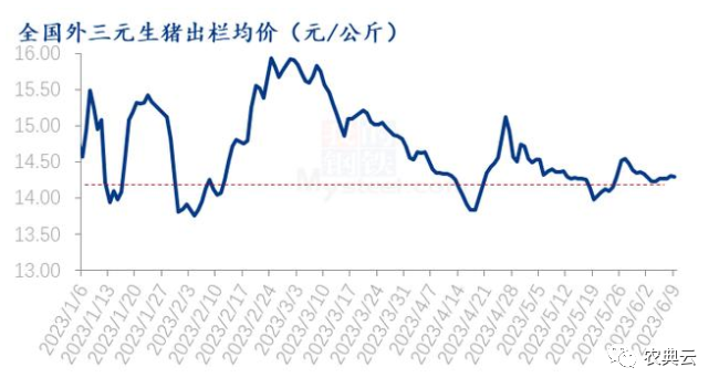 仔猪价格快速下滑，种猪盈利大幅缩水！能繁母猪去化速度能否加快？