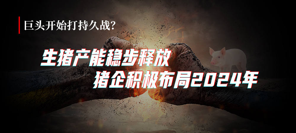 巨头开始打持久战？生猪产能稳步释放，猪企积极布局2024年