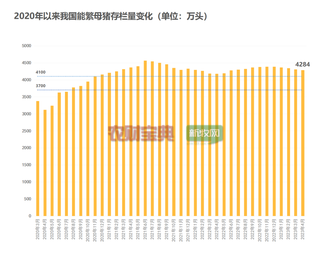 玉米降至2440元/吨！饲料价格还要降？专家：头部猪企产能不减，行业难言见底