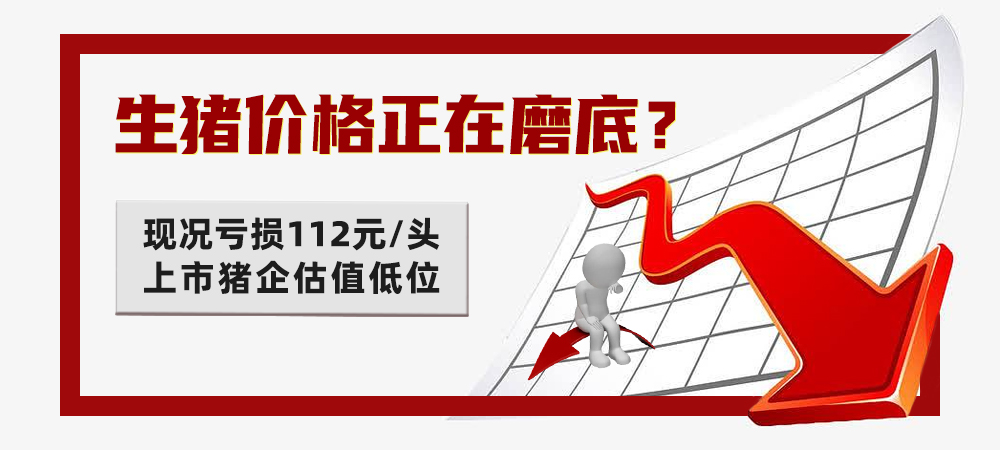 生猪价格正在磨底？现况亏损112元 / 头，上市猪企估值低位
