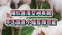6月13日生猪价格：市场供需博弈激烈，猪价回落空间有限，且有小幅反弹可能！