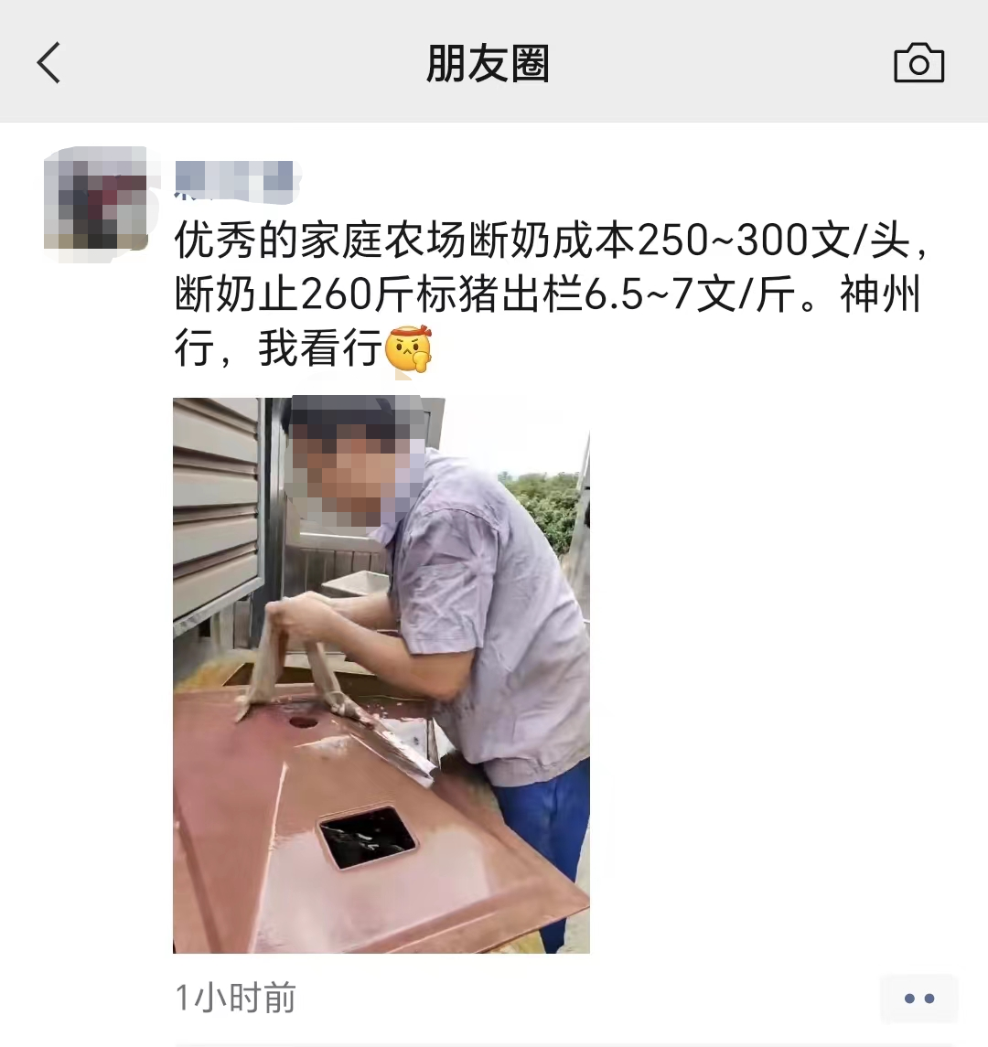 海大紧随双胞胎脚步，限高7㎏仔猪采购价350元/头！天心种业却挺价430元！啥情况？