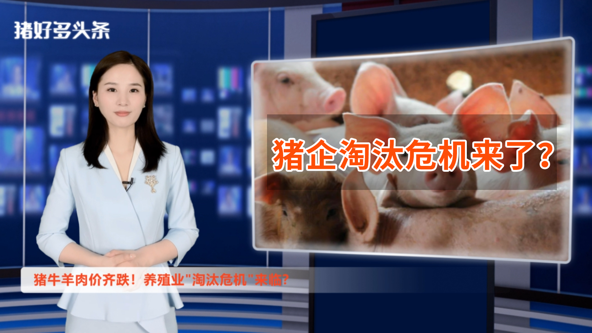 猪牛羊肉价齐跌！养殖端全面亏损，猪企面临“淘汰危机”？