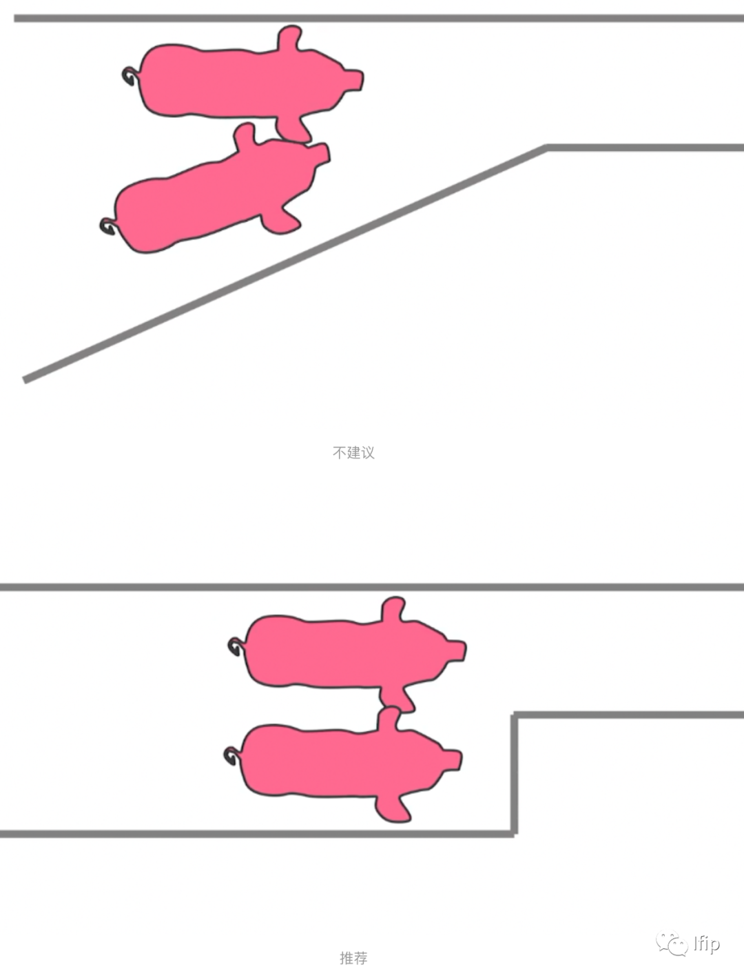 猪的走道设计