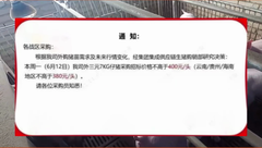 仔猪最低降至380元/头！买卖双方僵持，行情会崩盘？