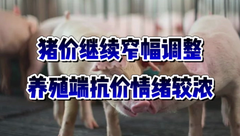 6月14日生猪价格：持续低位运行，消费依旧疲态难改，生猪行情或继续震荡！