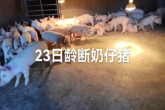 保证了效果，又保证了安全性！ 亲测回盛泰必盛，效果真实有效，太好了！