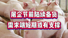 6月15日生猪价格：端午备货陆续开启，市场看涨情绪较高，养猪人把握好出栏机会！