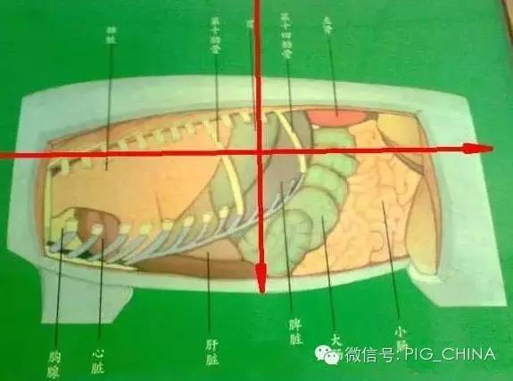 套针方法