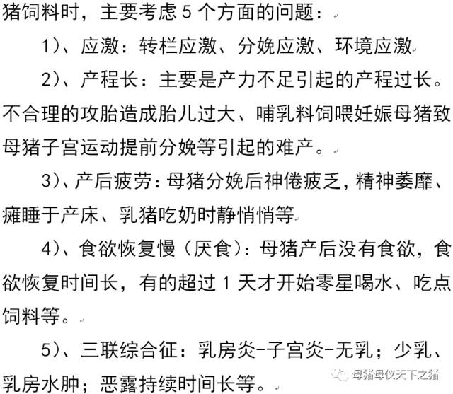 杂交瘦肉型母猪饲料的困惑-欧洲