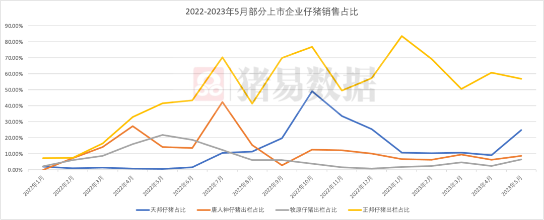 仔猪行业内卷，市场呈现出有价无市局面！何时能够反转？