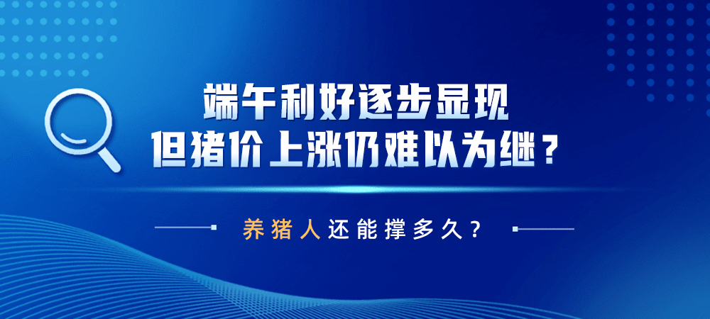 端午利好逐步显现！但猪价上涨仍难以为继？养猪人还能撑多久？