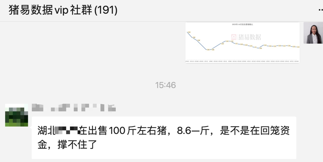 端午、五一节前猪价下调！下半年猪价有希望吗？血拼才刚刚开始！