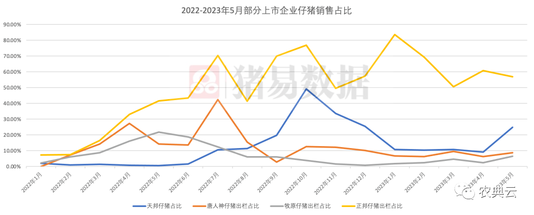 仔猪销售占比