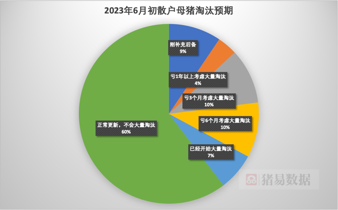 散户母猪淘汰预期