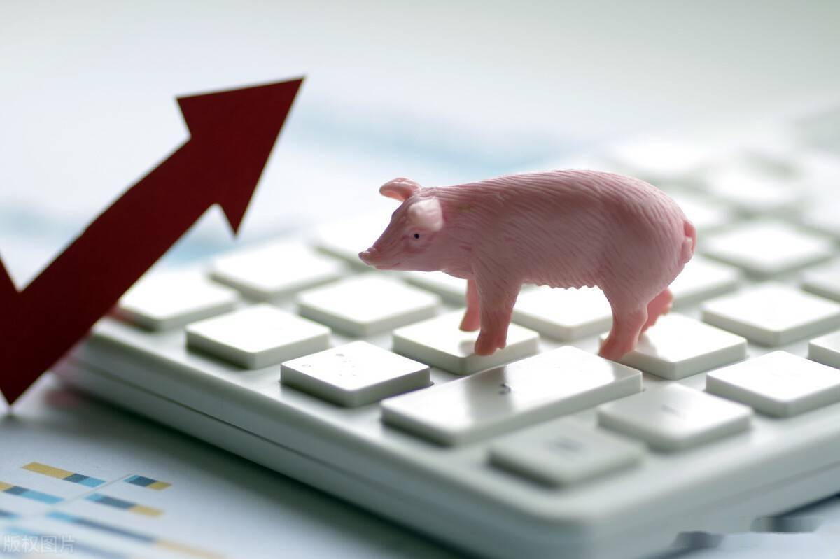 40%的养猪人有负债？养猪业的黎明还未到来？