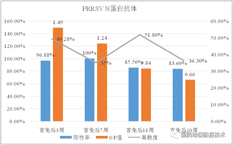 ELISA检测免疫后不同时间PRRSV抗体水平