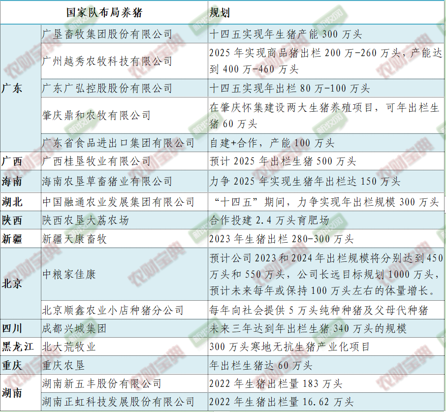 国家队布局养猪