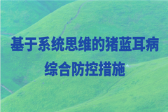一场一策，重点在防！基于系统思维的猪蓝耳病综合防控措施