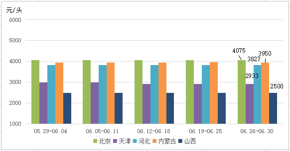 华北地区50kg纯种母猪价格