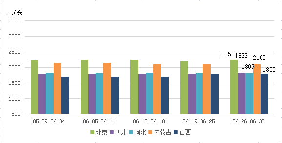 华北地区50kg二元母猪价格