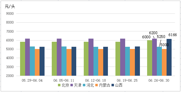 华北地区50kg纯种公猪价格