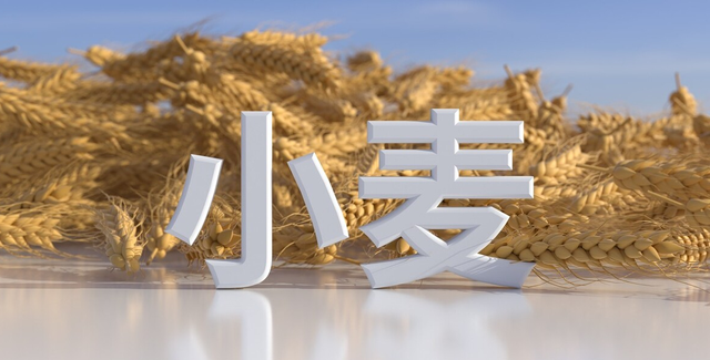 小麦