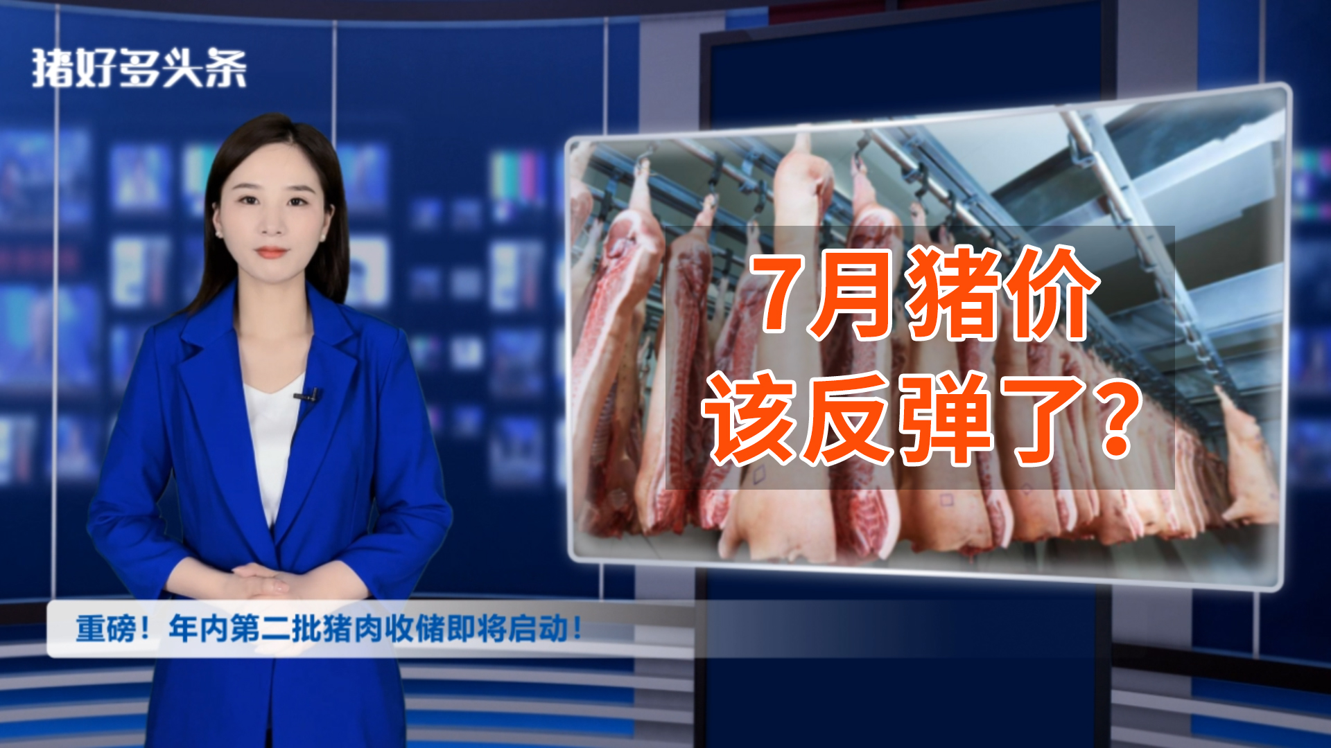 重磅！年内第二批猪肉收储来了！7月猪价反弹概率有多大？