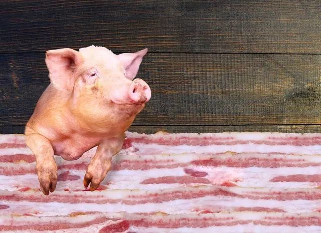 750万吨冻猪肉库存为二十年来最高位，猪价下跌屠宰、贸易一起亏