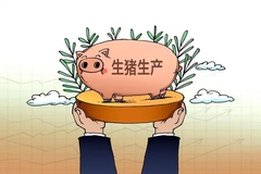 当前行情为何如此低迷？深陷亏损的家庭农场如何“熬出生天”？