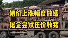 7月6日生猪价格：官方发布储备肉轮换通知，猪价上涨幅度放缓，又要涨不动了？