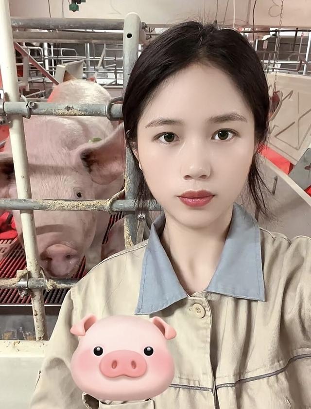 孙桐