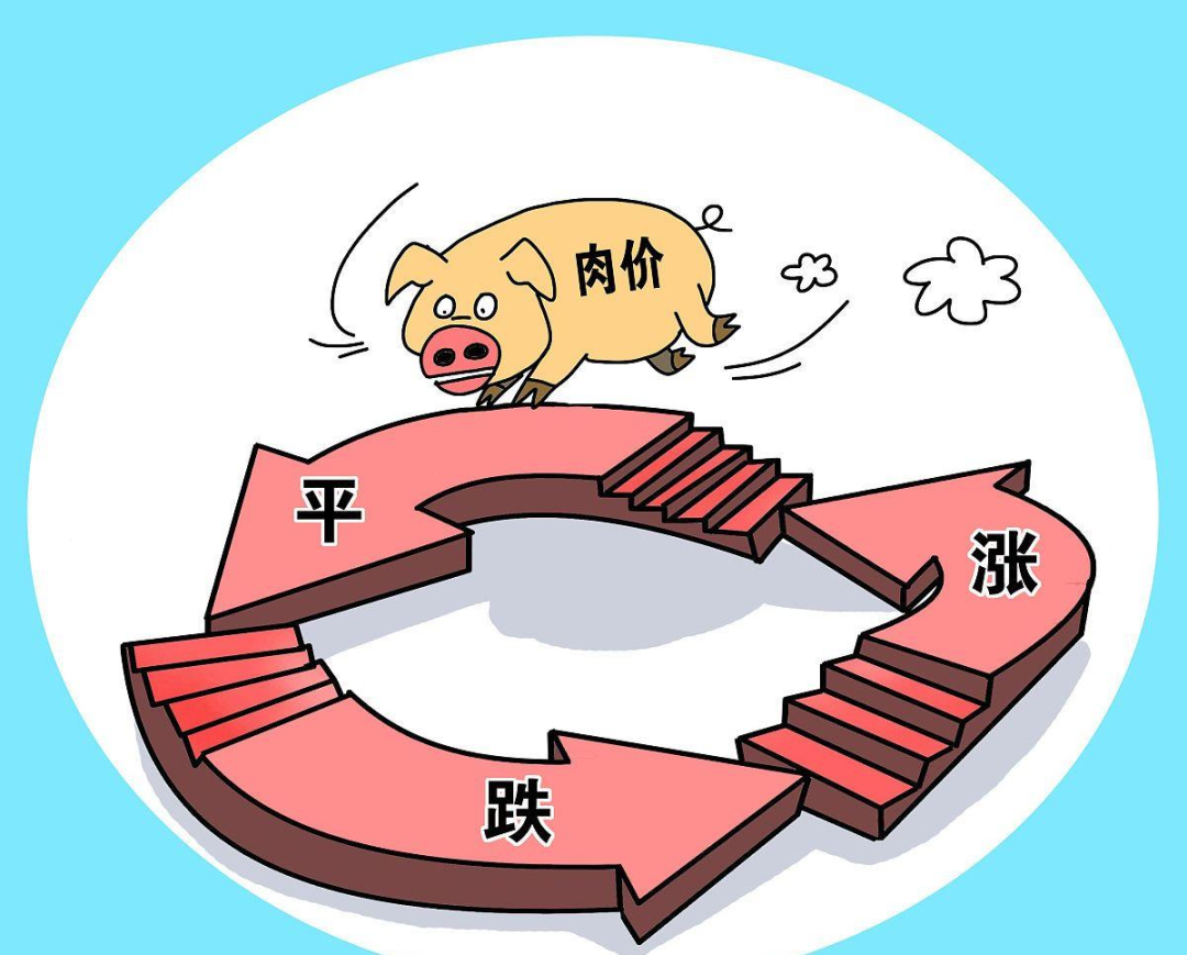上半年猪价沉寂于磨底，下半年会是猪价拐点的关键时期吗？