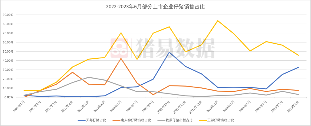 生猪调运增多！集团场放量出栏，是要“跑路”？对猪价影响几何？