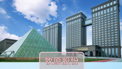 6家猪企上半年累计卖猪超4700万头，下半年的猪价将如何走？