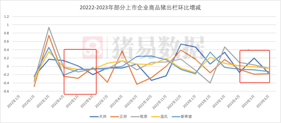 生猪调运增多！集团场放量出栏，是要“跑路”？对猪价影响几何？