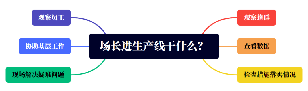 场长进生产线干什么