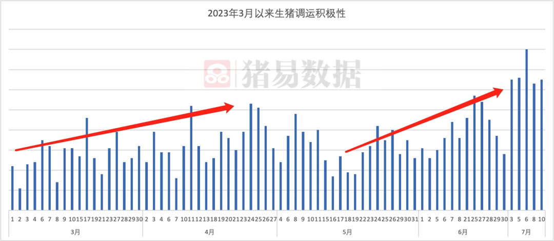 天气炎热，7月生猪调运积极性达今年最高！啥情况？