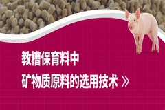 教槽保育料中矿物质原料如何选用？专家都总结好了