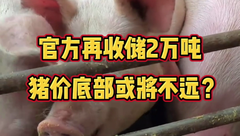 7月13日生猪价格：难！饲料原料价格上涨，猪价持续低迷，猪粮比价进一步下跌！