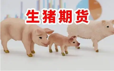 “阶梯式”保费补贴亮点满满！广州为政策性生猪期货价格保险提供财政支持