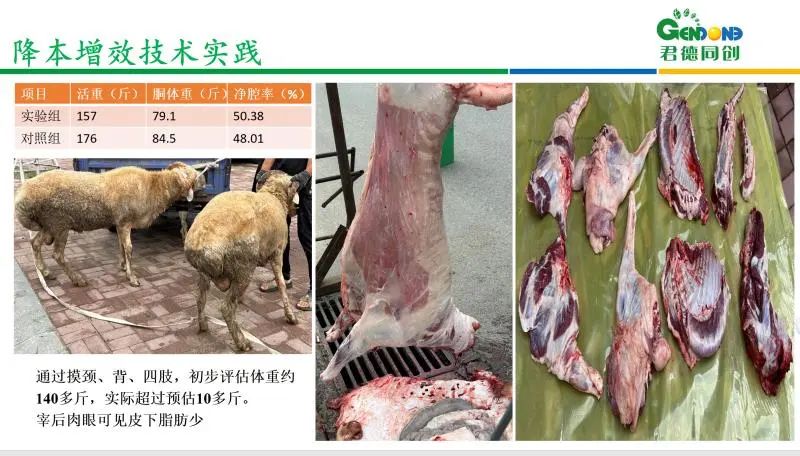 君德同创 “质领未来，服无止境”蛋白生长因子应用研讨会在黑龙江圆满召开！