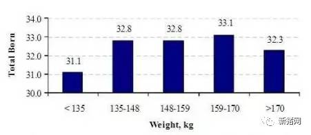 第一次配种时的体重对头三胎的总产仔数影响（N.Williams,2005）