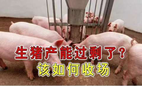 李俊柱 ：中国养猪业的几个“过”与“适度”