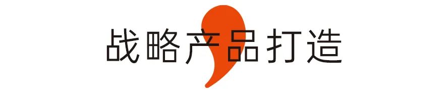 战略产品打造