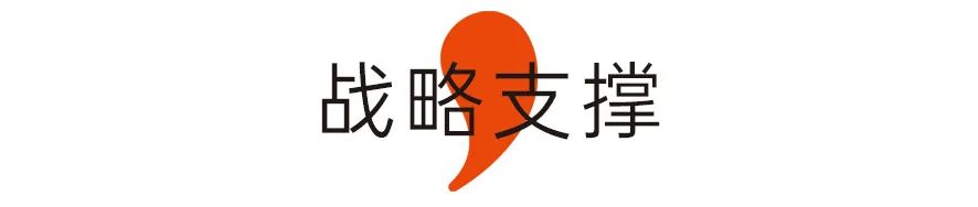 战略支撑