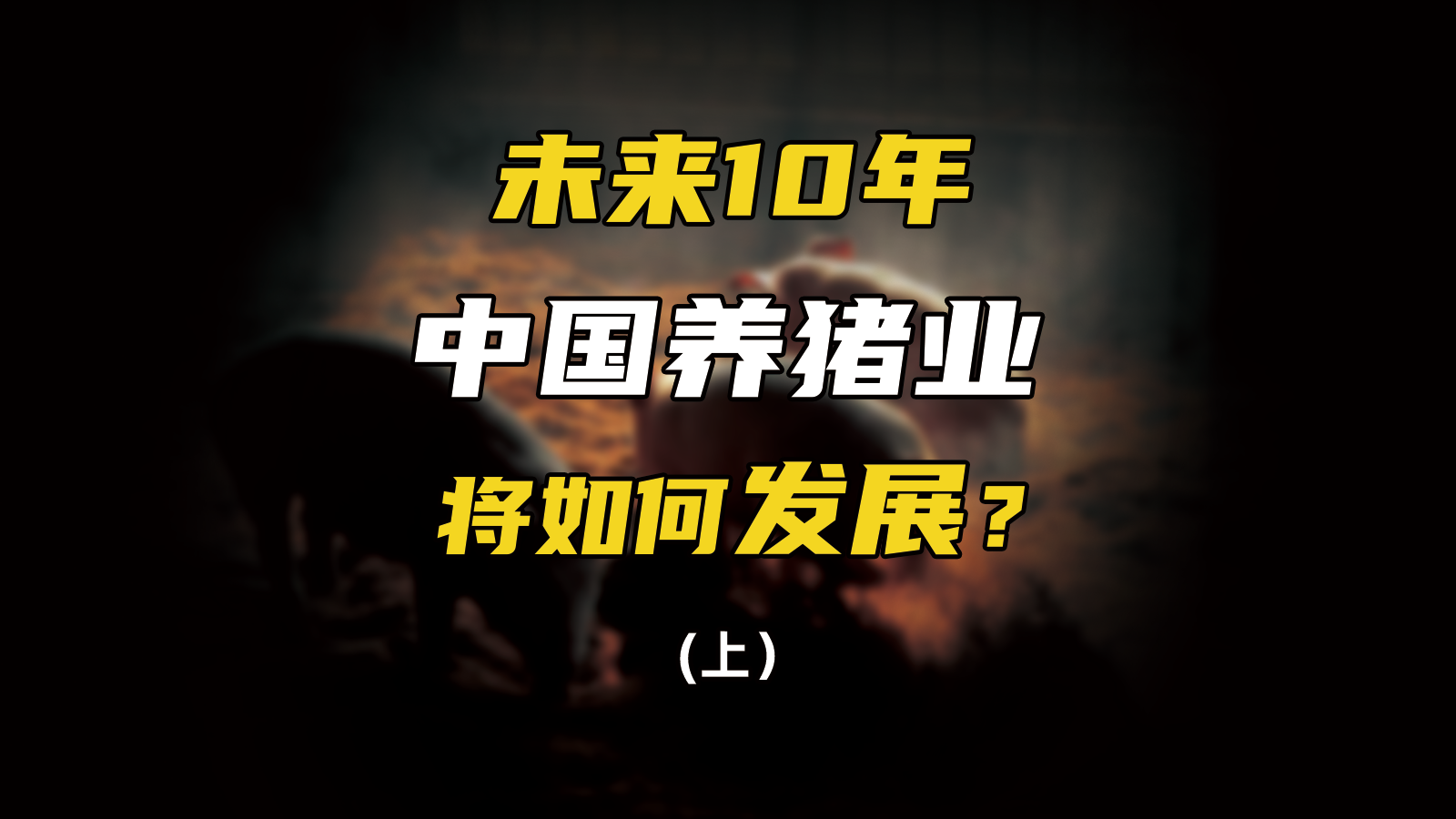 未来10年养猪业将如何发展？官方文件透露4大信号！具体是啥？